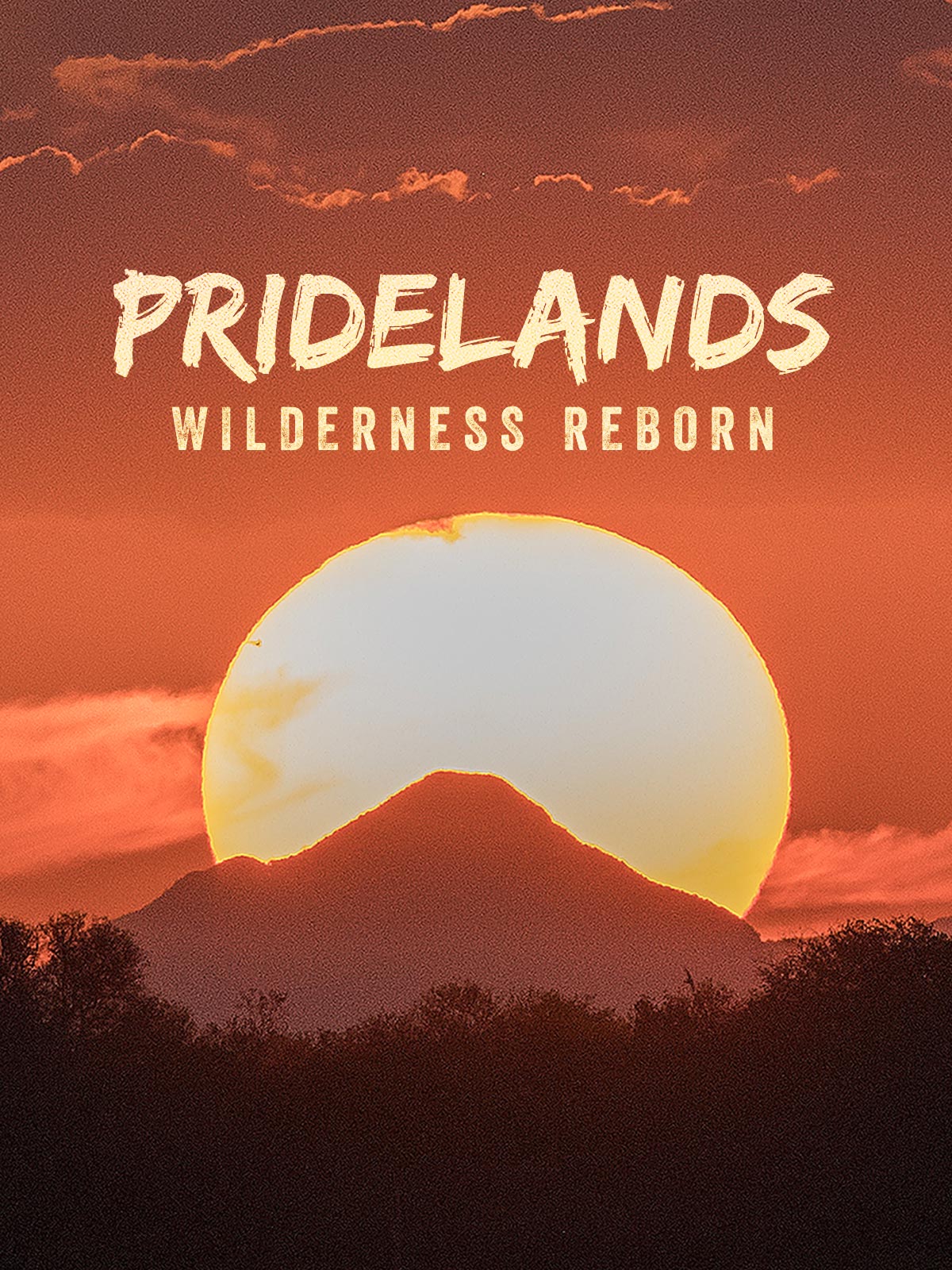 Caratula de Pridelands: Wilderness Reborn (El renacer de una tierra salvaje) 