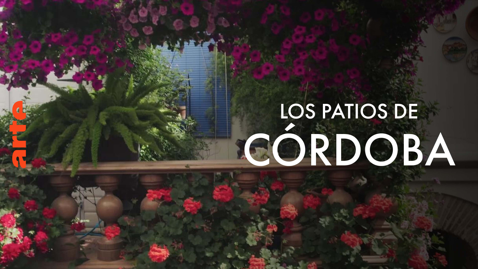 Caratula de 360° Reportage - Cordoba, die Stadt der Patios (360° Reportaje: Los patios de Córdoba) 
