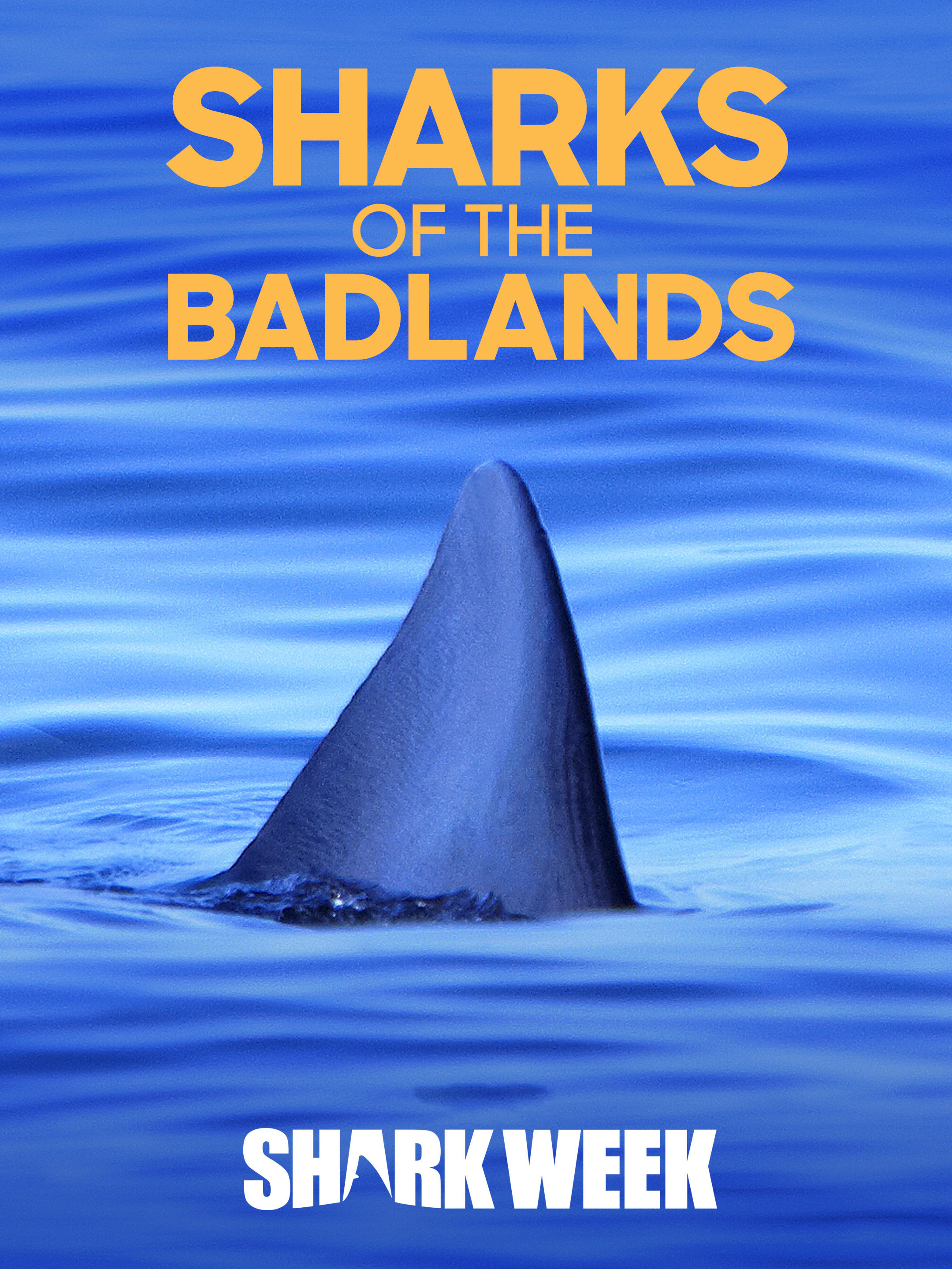 Sharks of the Badlands