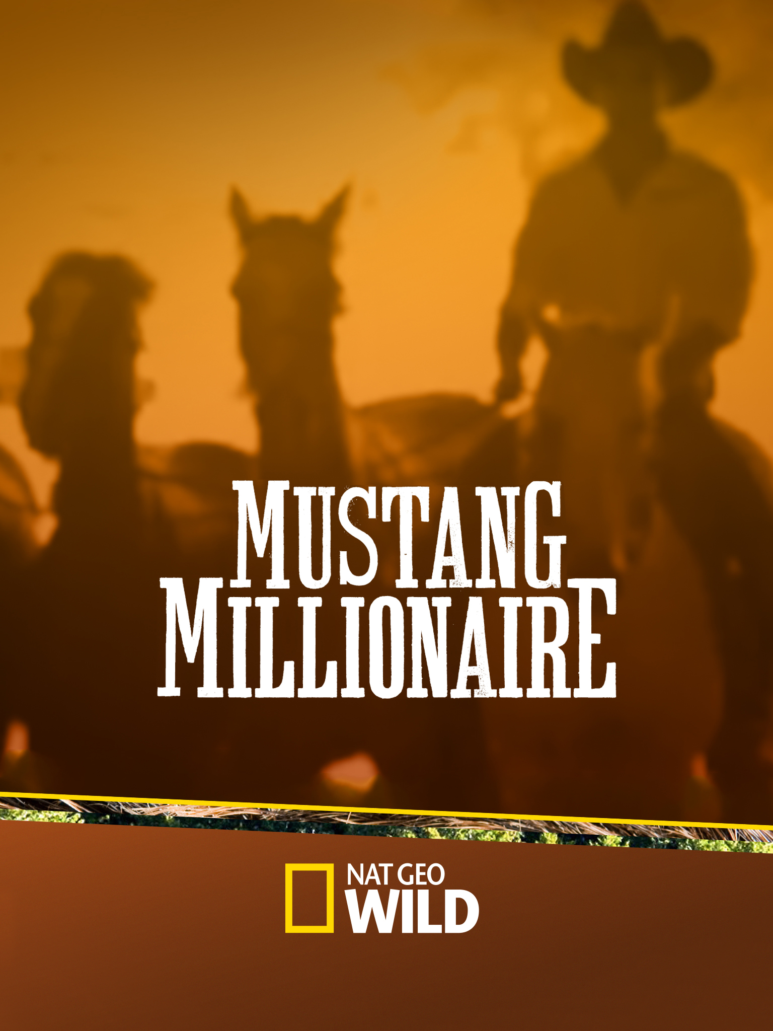 Caratula de Mustang Millionaire (El mustang del millón) 