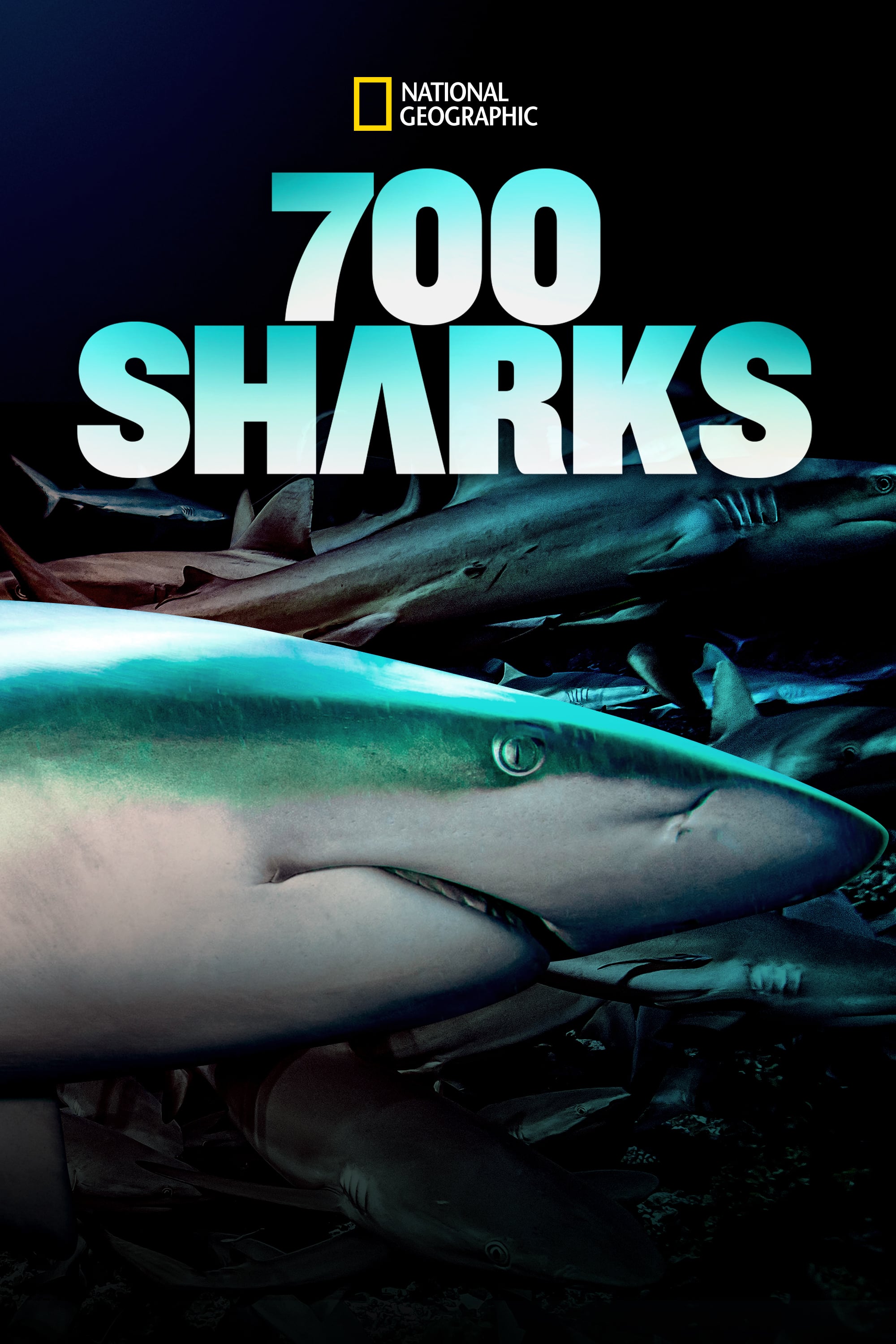 Caratula de 700 Requins Dans la Nuit (700 tiburones) 
