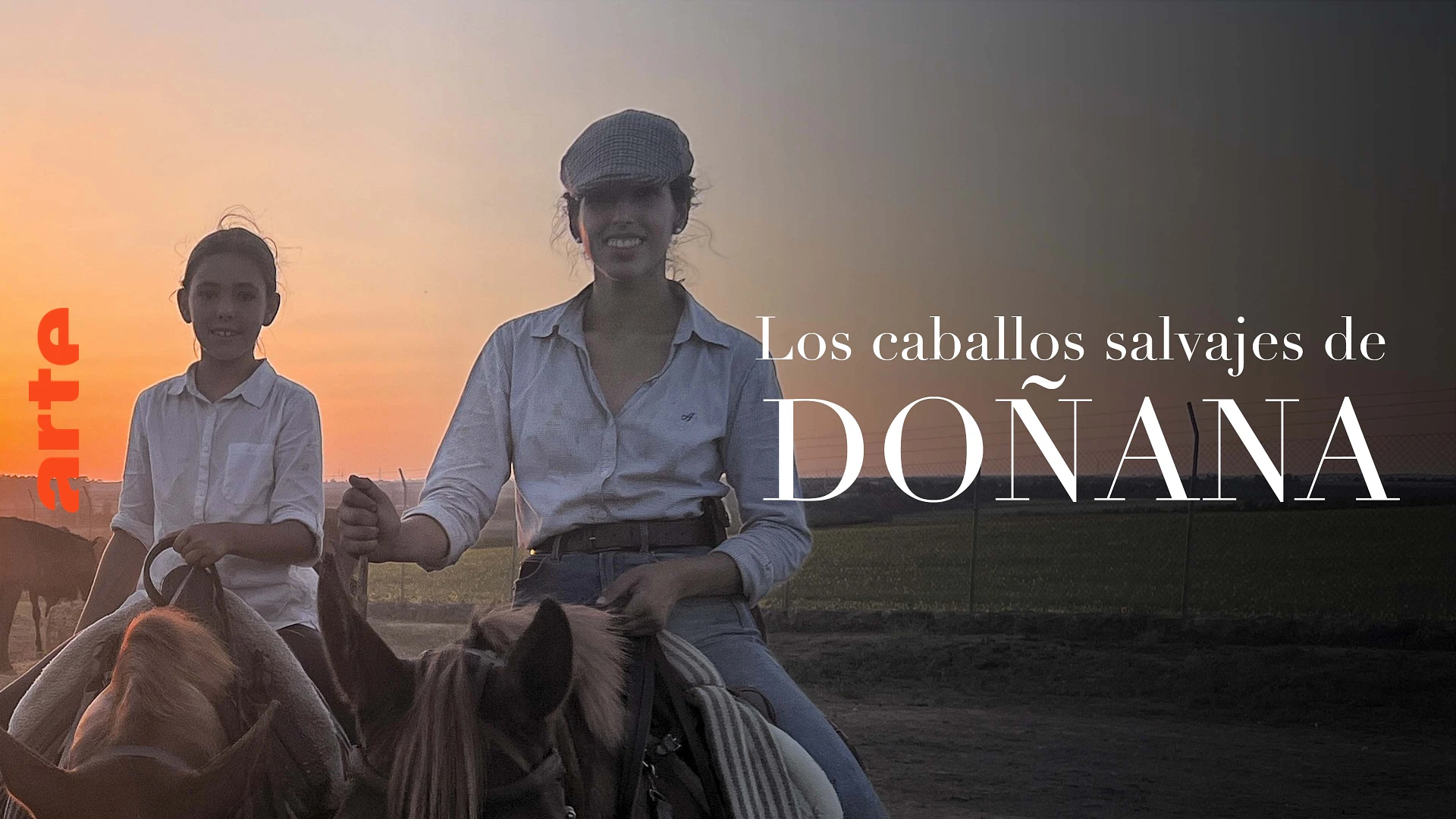 Los caballos salvajes de Doñana