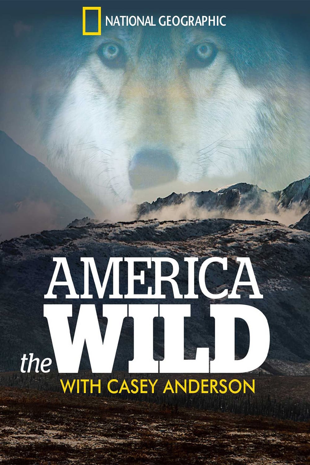 Caratula de America the Wild (America the Wild) 