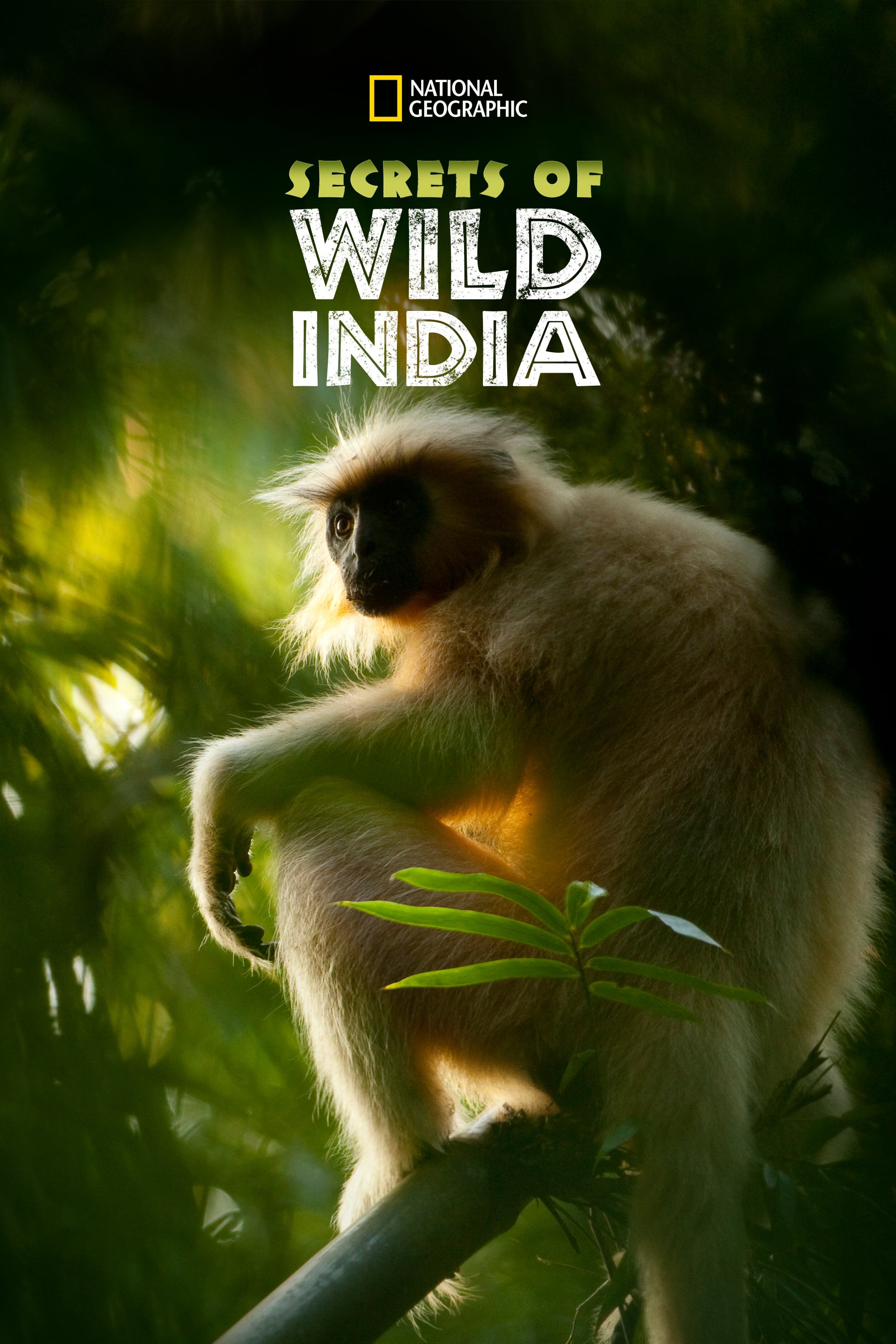 SECRETS OF WILD INDIA