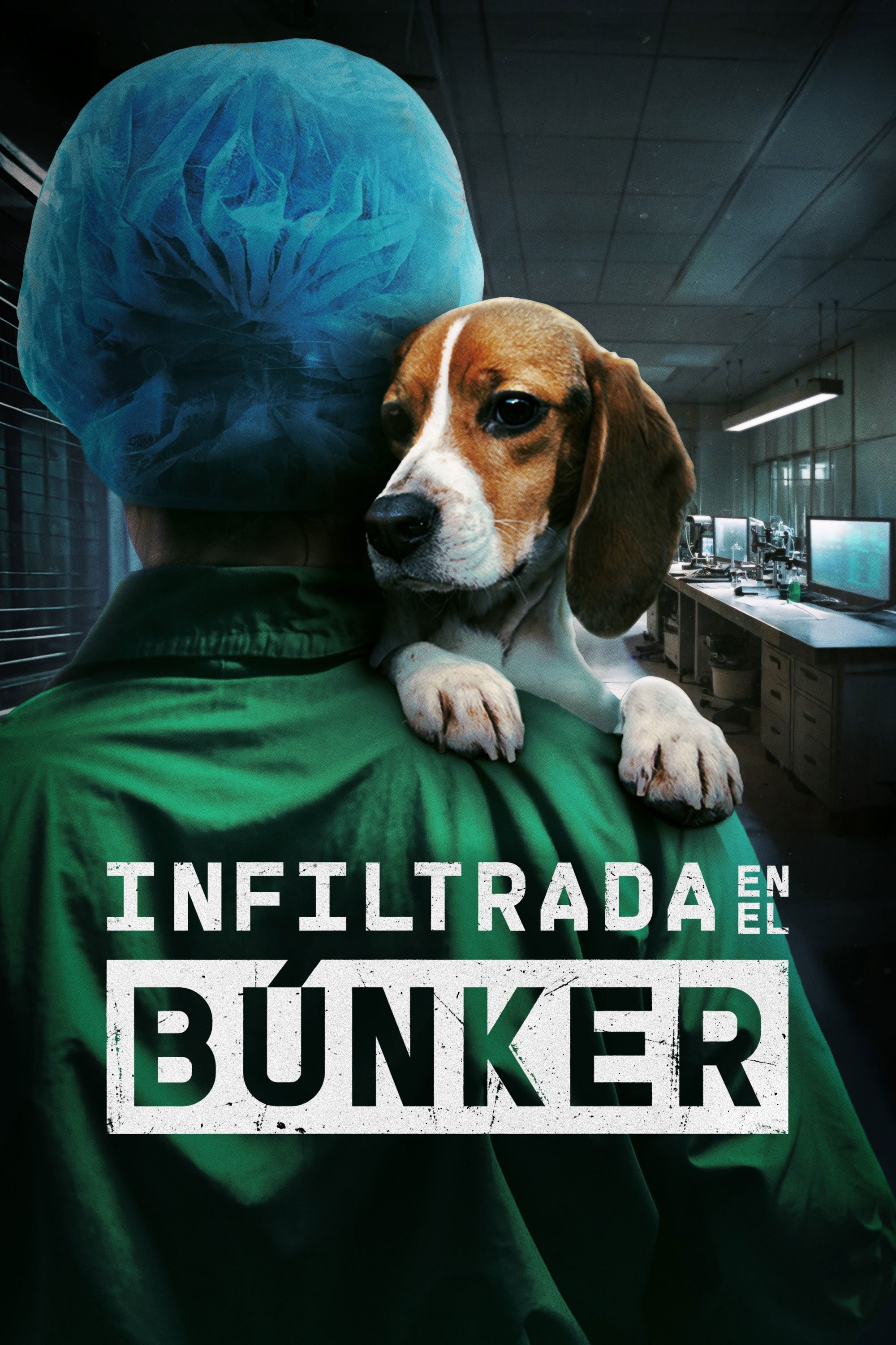 Infiltrada no búnker