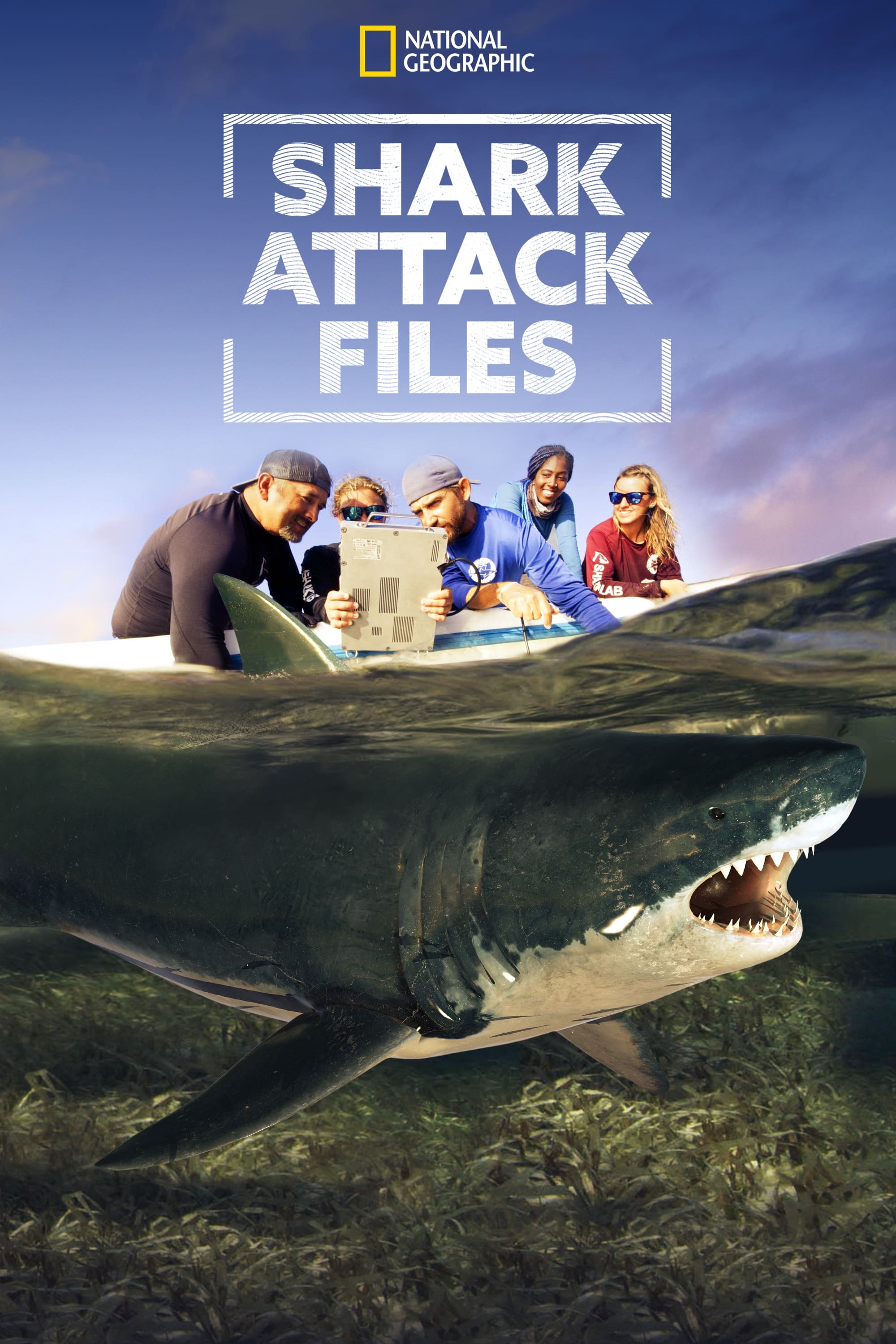 Caratula de Shark Attack Files (Ataques de tiburones - acceso exclusivo) 