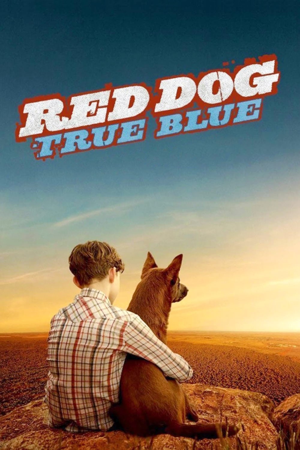 Red Dog True Blue