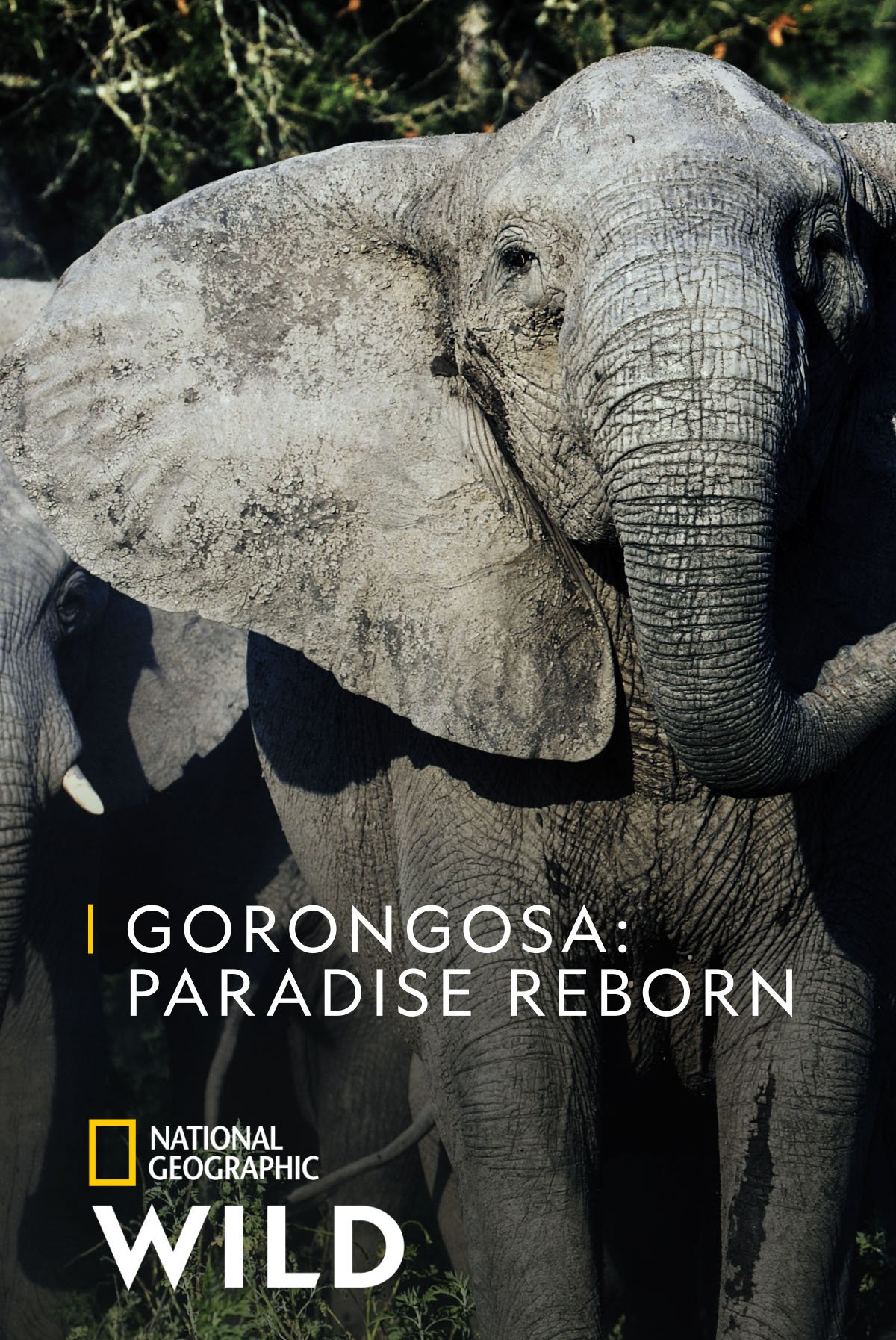 GORONGOSA: PARADISE REBORN