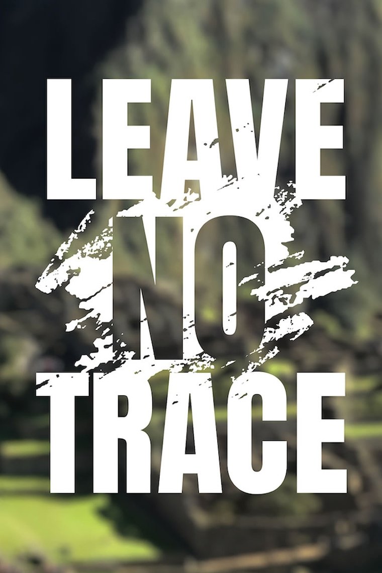Caratula de Leave No Trace (Viajando sin dejar huella)