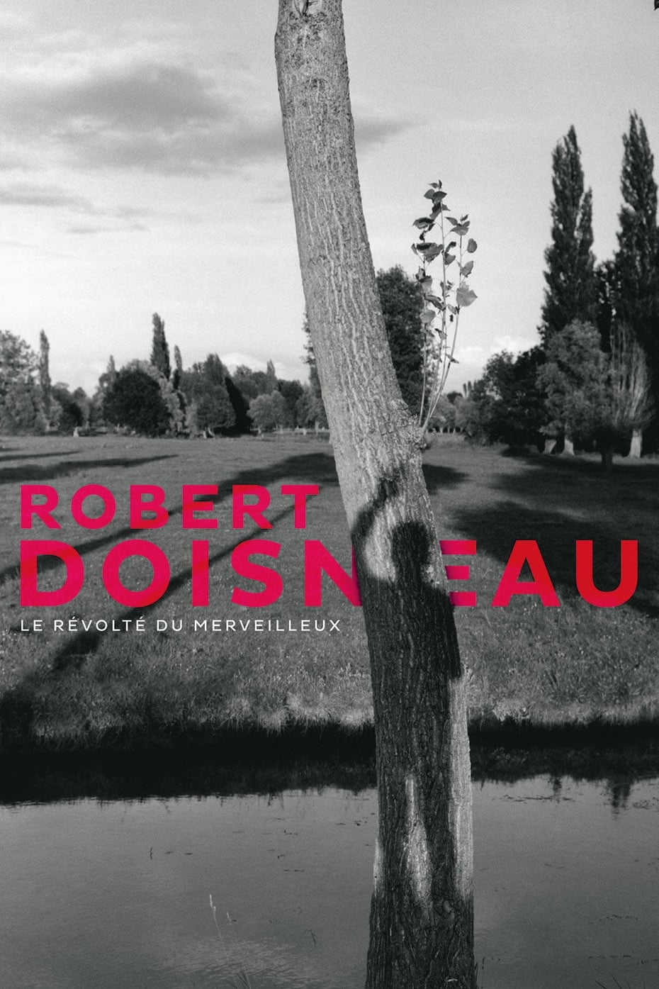 Caratula de ROBERT DOISNEAU: LE REVOLTE DU MERVEILLEUX (Robert Doisneau, el rebelde de lo maravilloso /Robert Doisneau: a traves de la lente) 