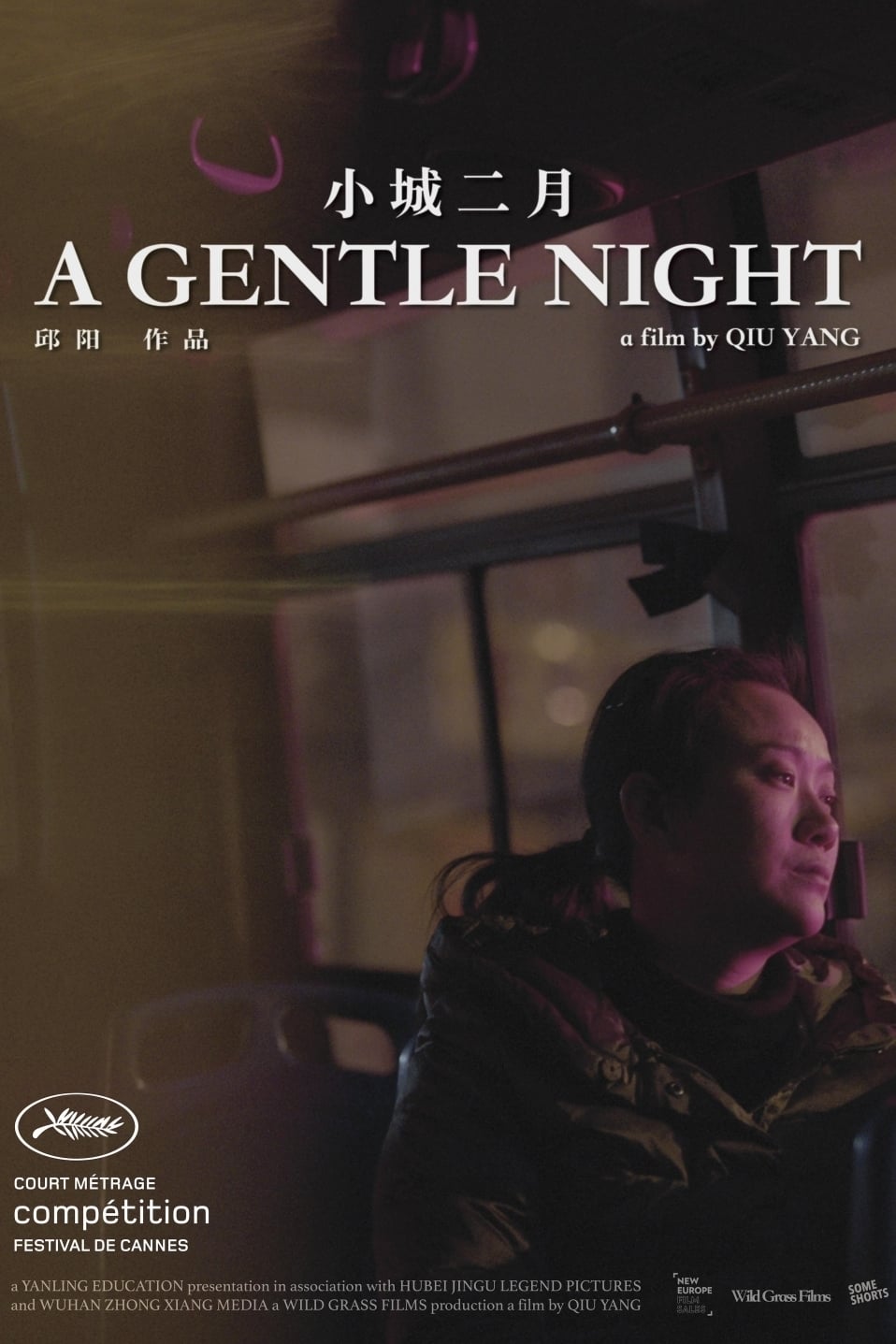 Caratula de Xiao Cheng Er Yue (A Gentle Night) 