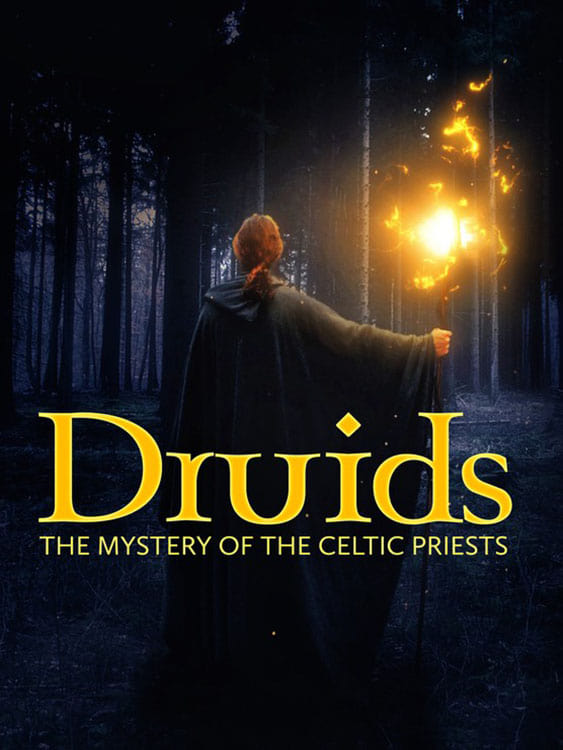 Caratula de Die Druiden (Los druidas: el misterio de la casta sacerdotal de los celtas) 
