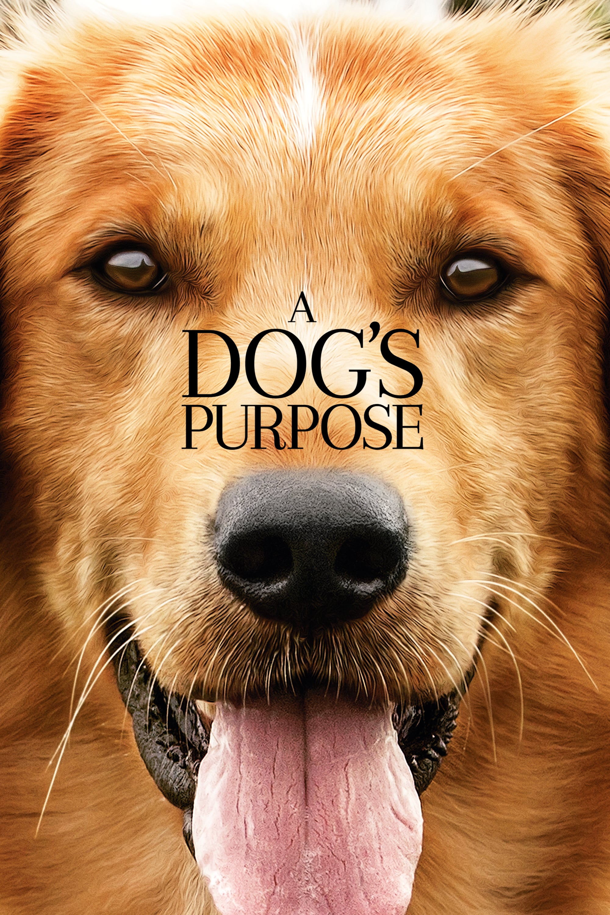 Caratula de A Dog's Purpose (Tu mejor amigo) 