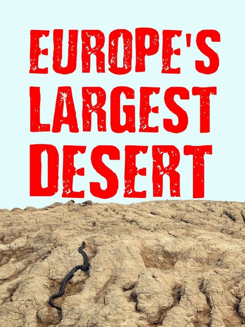 Caratula de Europe‘s Largest Desert (Europe‘s Largest Desert) 