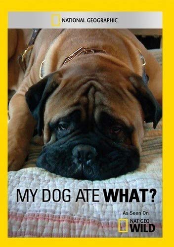 Caratula de My Dog Ate What? (My Dog Ate What?) 