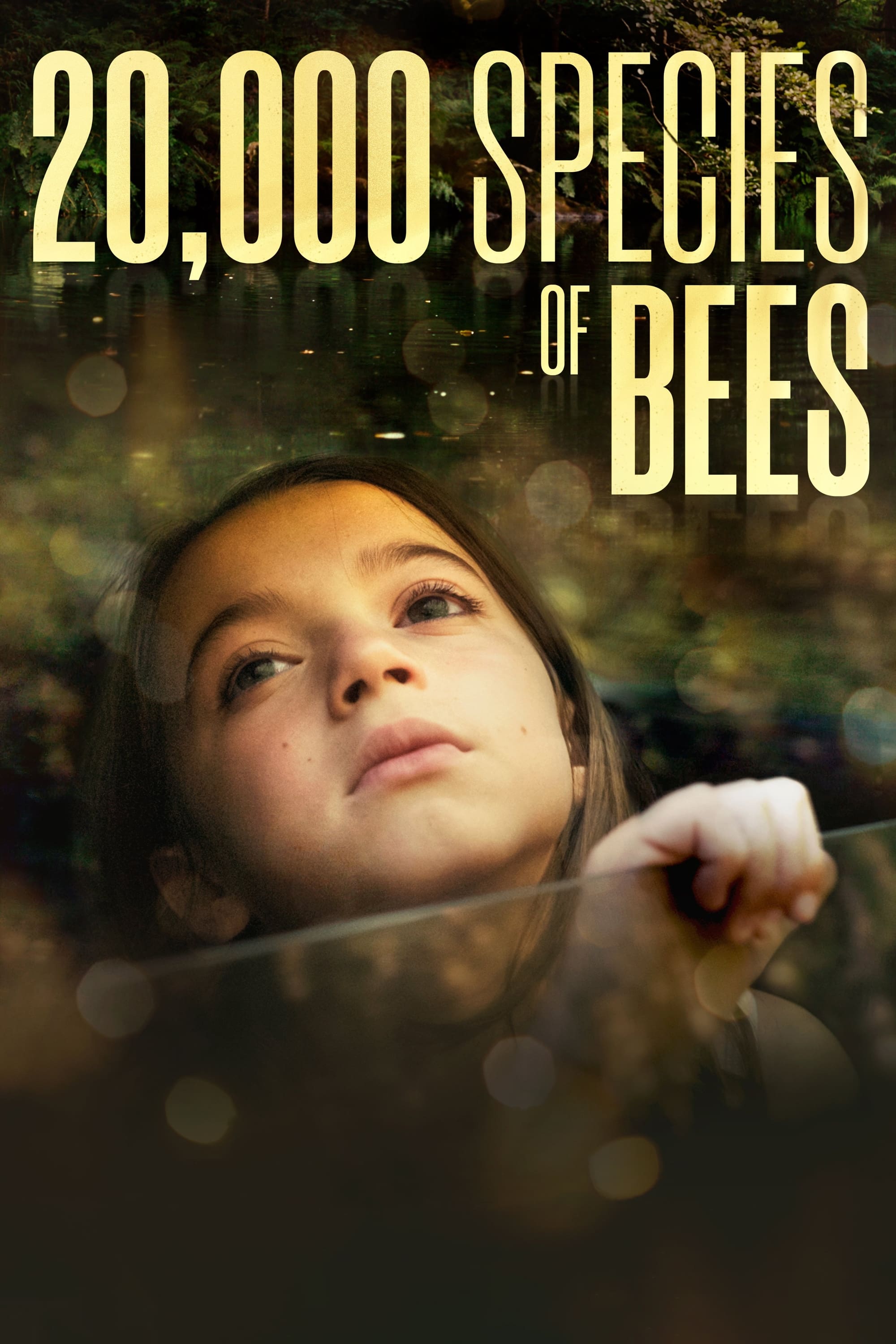 Caratula de 20.000 especies de abejas (20 000 especies de abejas) 