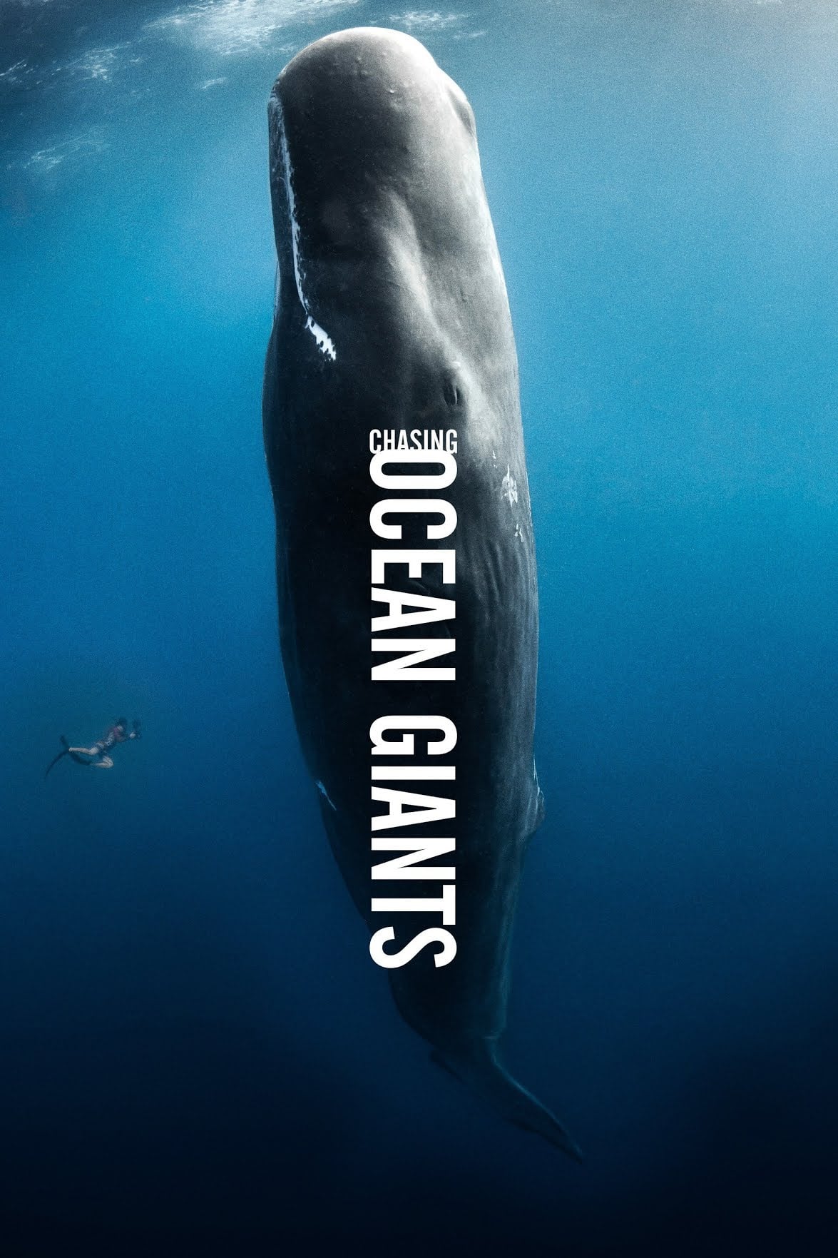Caratula de Chasing Ocean Giants (Gigantes del océano) 