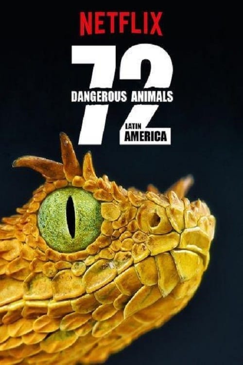 Caratula de 72 Dangerous Animals: Latin America (72 animales peligrosos: America Latina) 