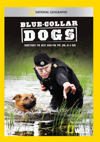 Caratula de Blue-Collar Dogs (Perros policía) 