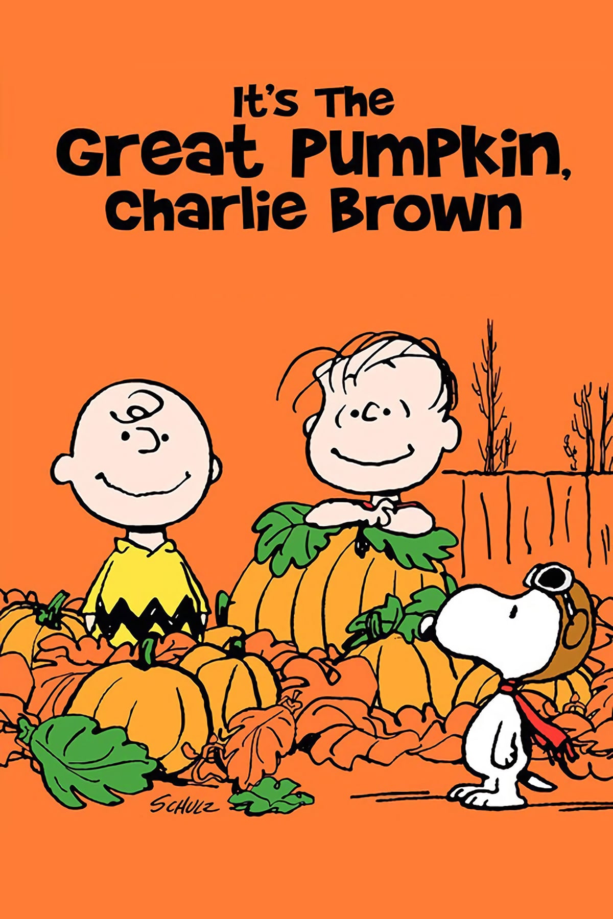 Carlitos y la gran calabaza / esta es la gran calabaza, Charlie Brown