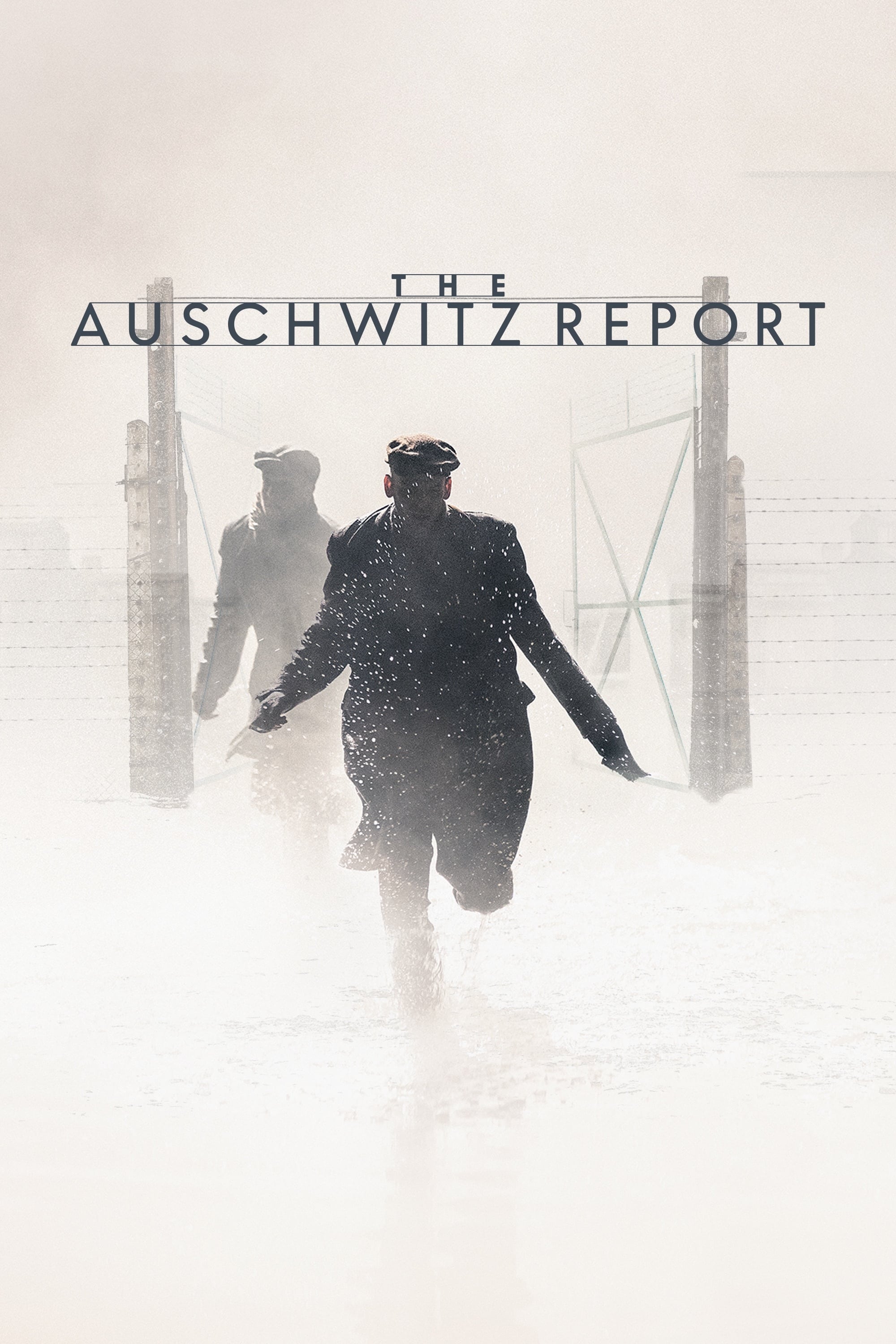 Caratula de Správa (L’informe Auschwitz) 