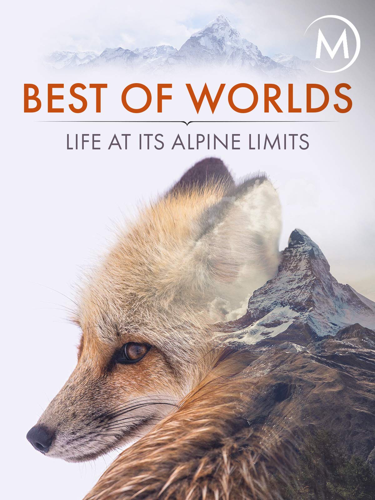 Caratula de Best of Worlds: Life at its Alpine Limits (El mejor de los mundos, la vida en las cumbres alpinas) 