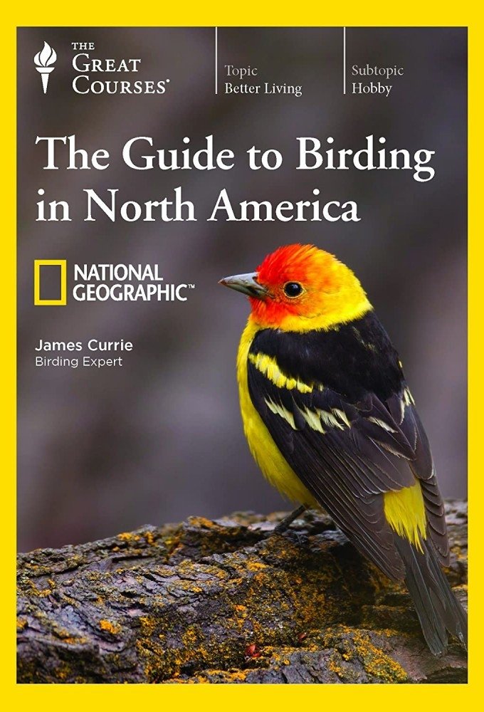 Caratula de NATIONAL GEOGRAPHIC (NATIONAL GEOGRAPHIC)
