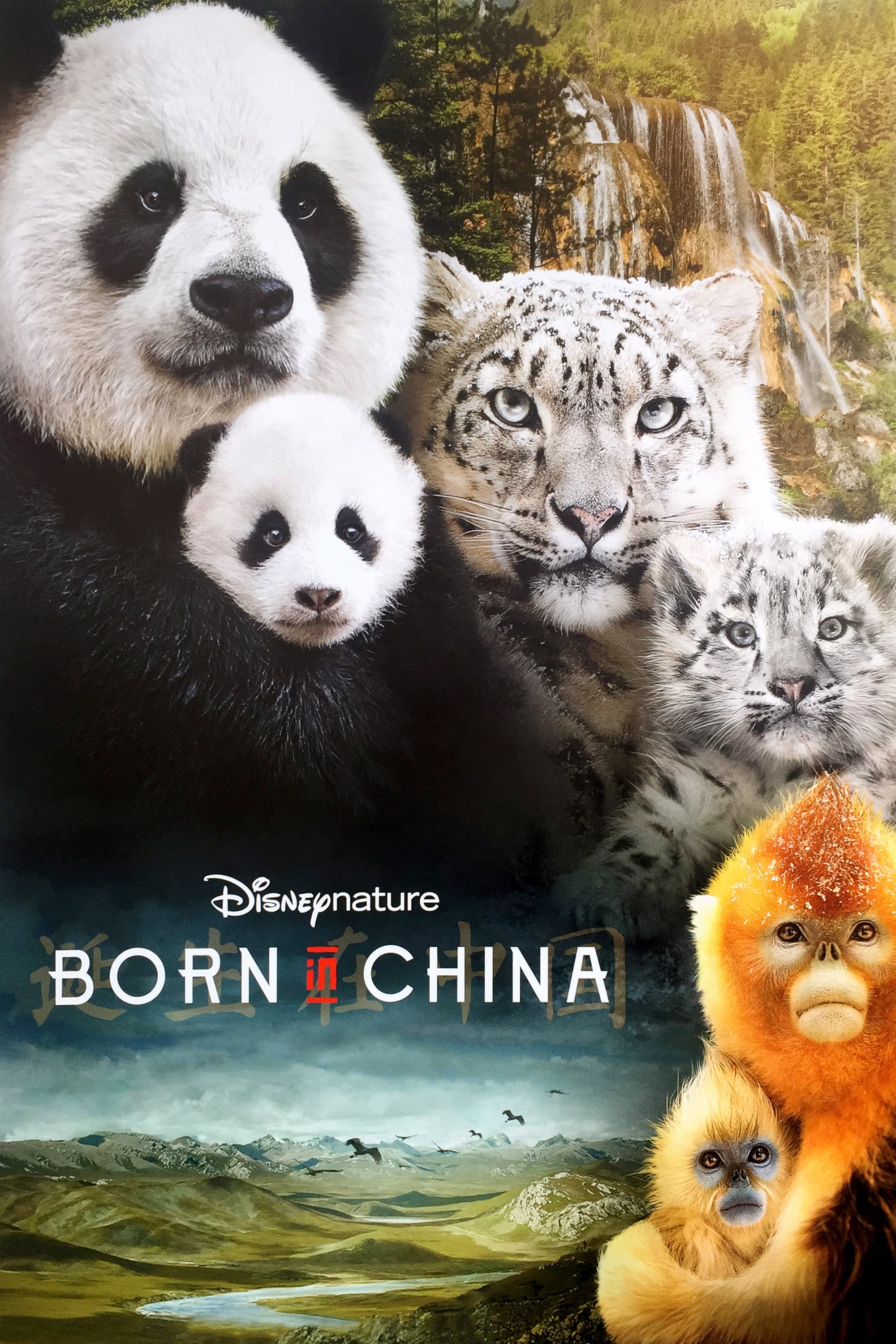 Caratula de Born in China (Nacidos en China) 