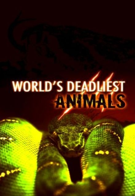 Caratula de World's Deadliest Animals (Els animals més mortífers del món) 