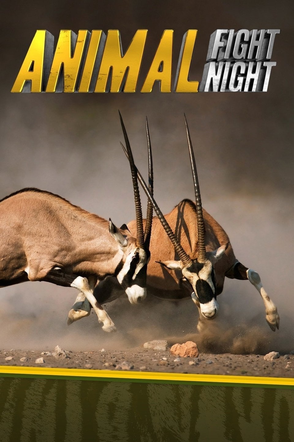 Caratula de Animal Fight Night (El club de la lucha animal) 