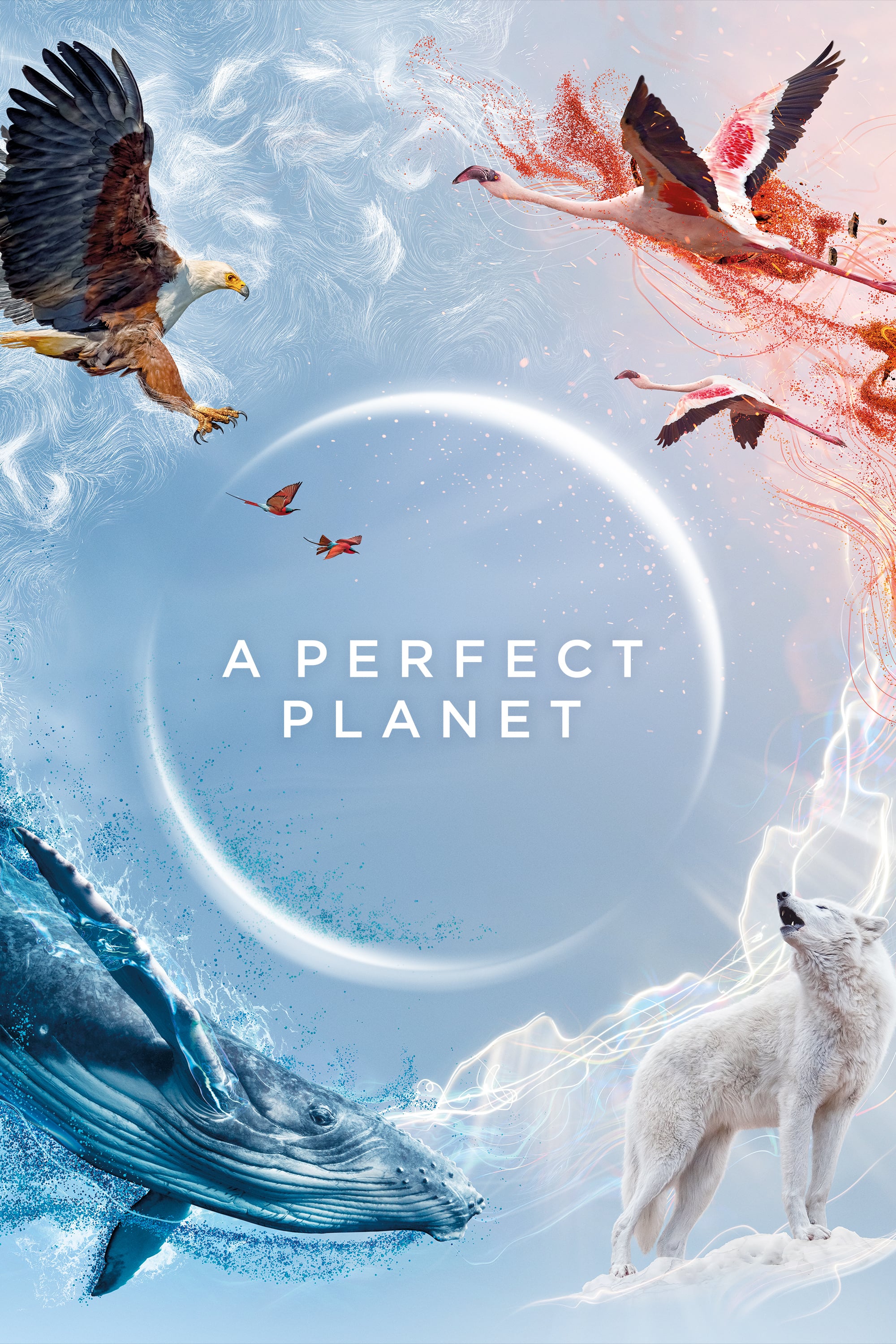 Caratula de A Perfect Planet (Un planeta perfecto) 