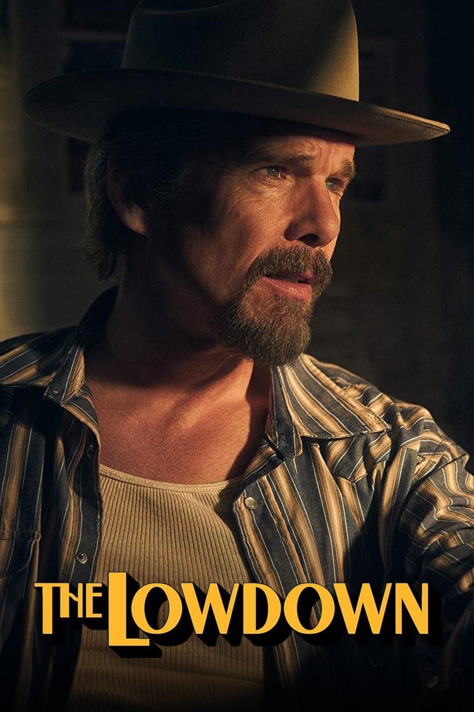 Caratula de The Lowdown (Verdades ocultas)