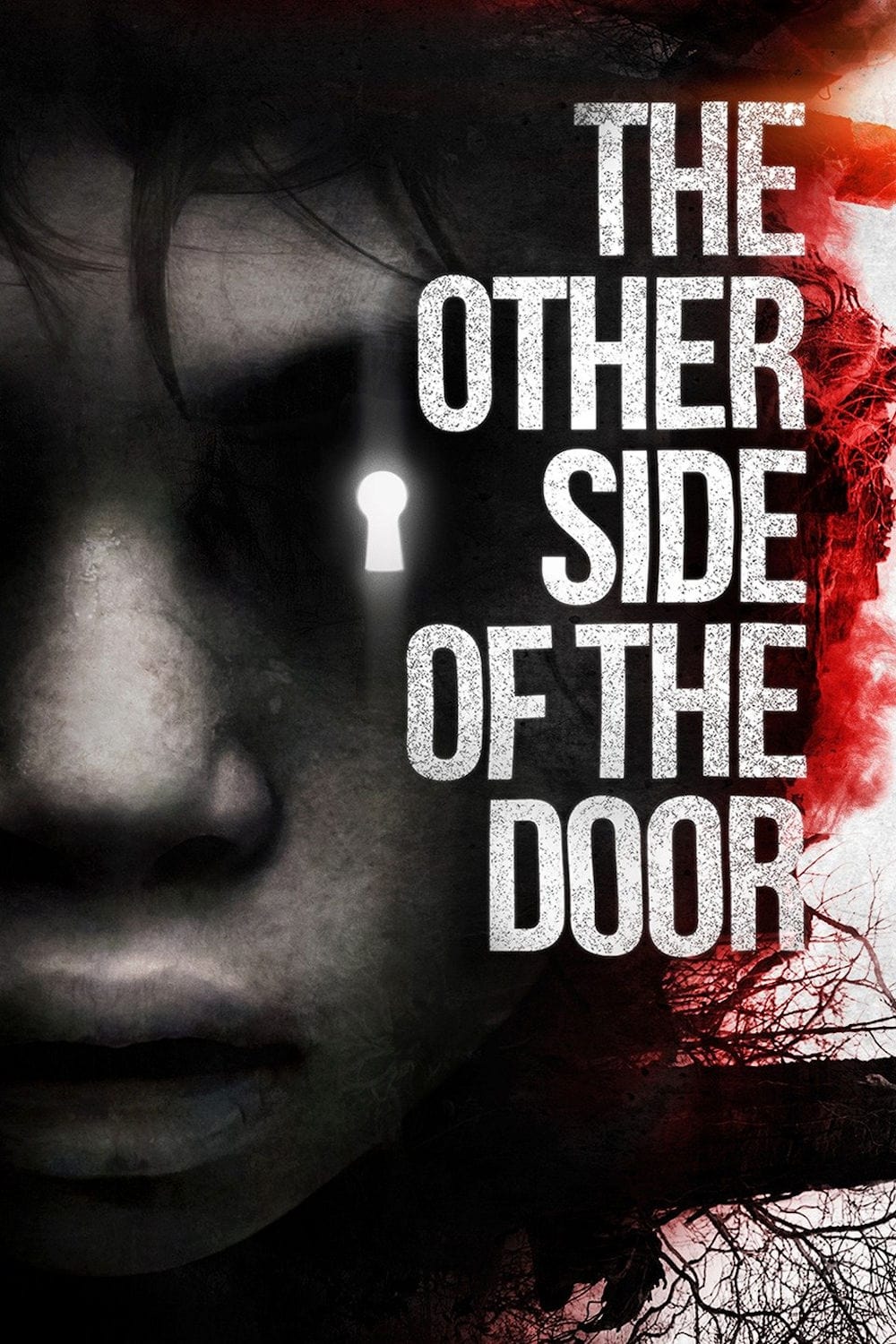 THE OTHER SIDE OF THE DOOR