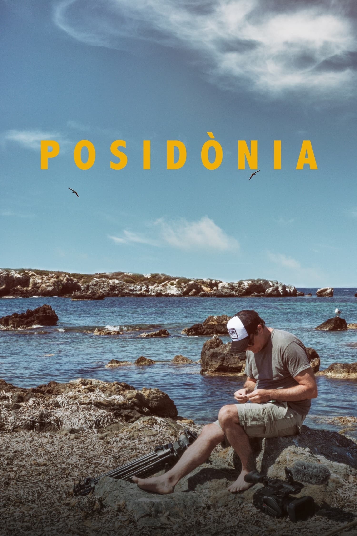 Caratula de Posidònia (Posidonia) 