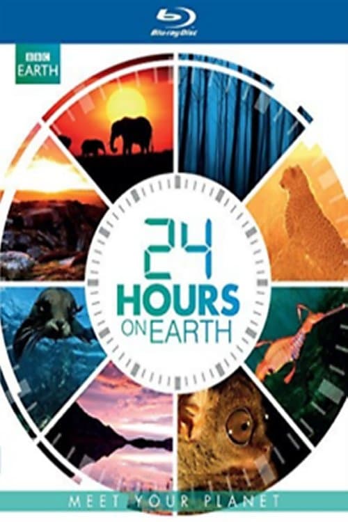 Caratula de 24 Hours on Earth (24 horas en la Tierra) 