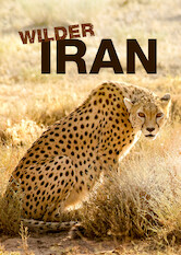 Caratula de Wilder Iran (Wilder Iran) 