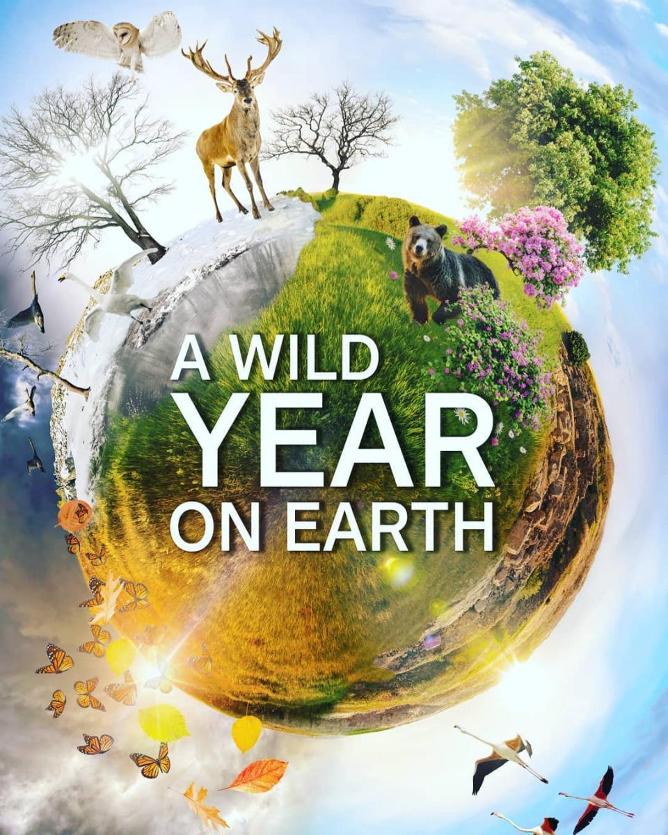 Caratula de A Wild Year on Earth (Un any salvatge a la Terra) 