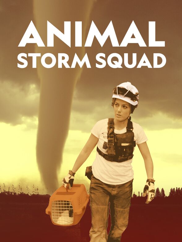 Caratula de Animal Storm Squad (Rescate de mascotas) 