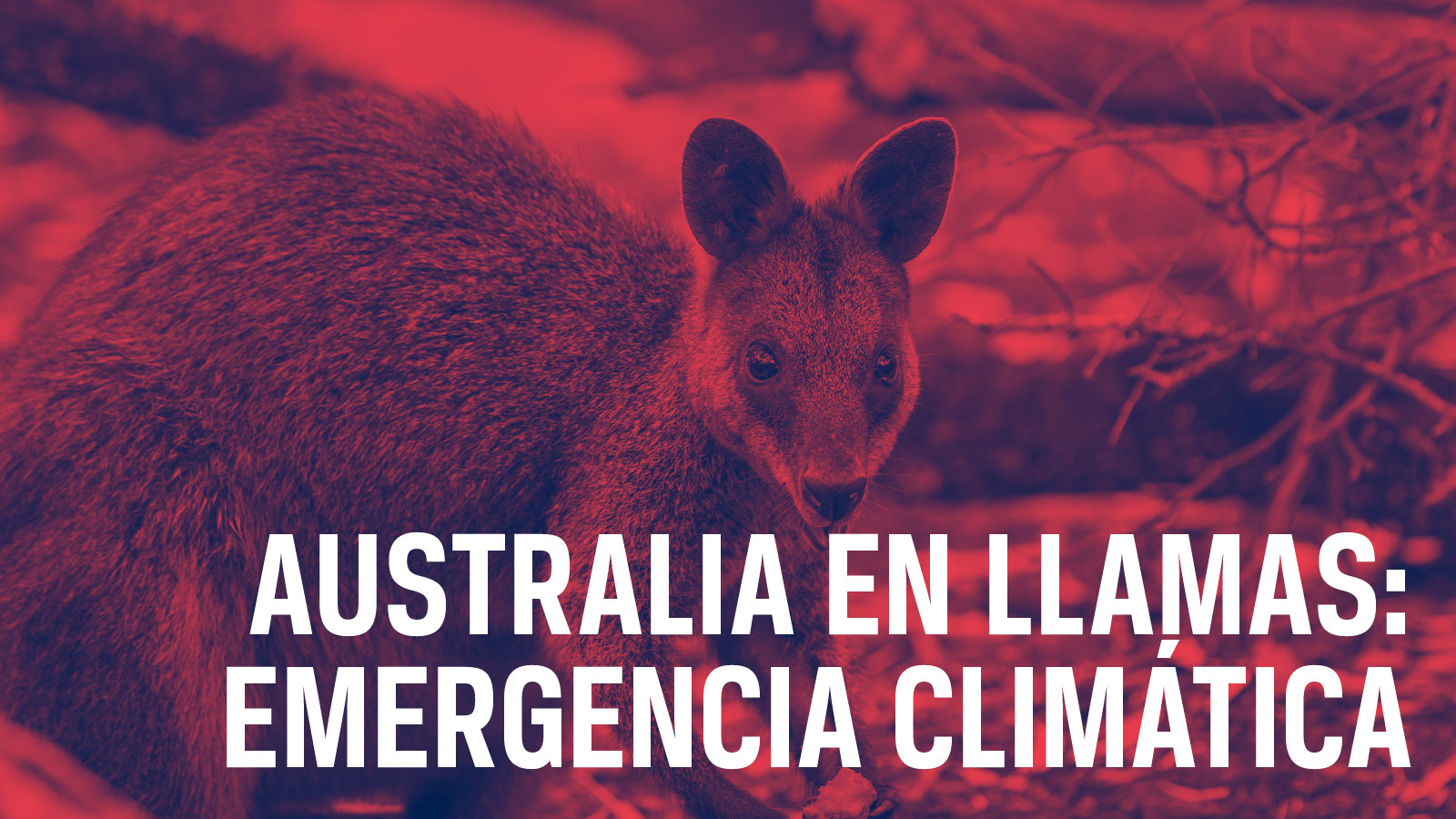 Caratula de Australia on Fire: Climate Emergency (Australia en llamas: emergencia climática) 
