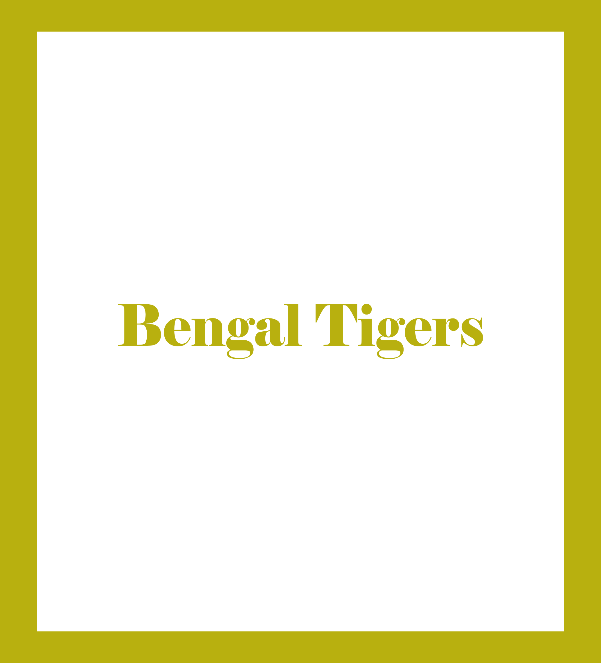 Caratula de Bengal Tigers (Tigres de Bengala) 