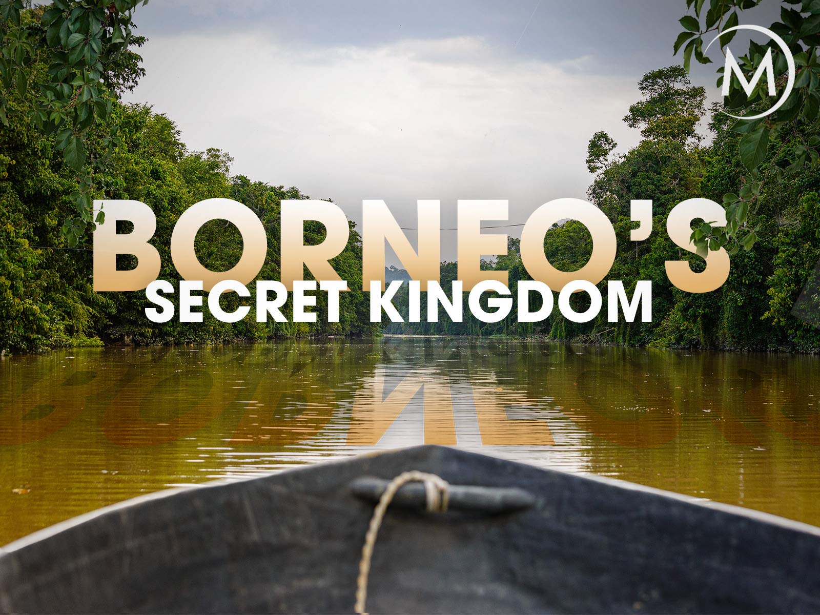 Caratula de Borneo's Secret Kingdom (El reino secreto de Borneo) 