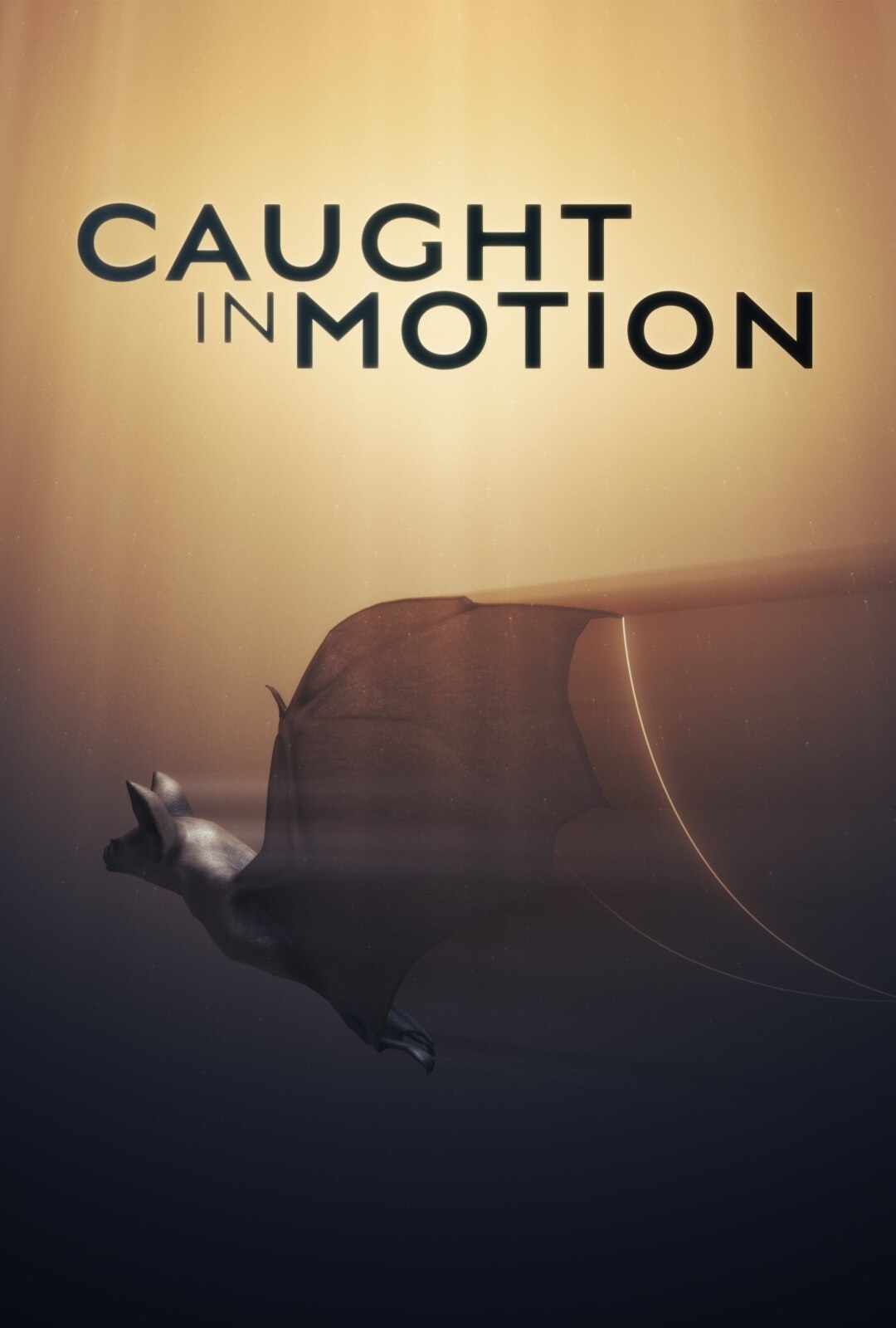 Caratula de Caught in motion (Movimiento Animal) 