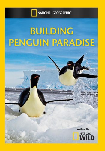 Caratula de Building Penguin Paradise (La construcción de Antártica) 