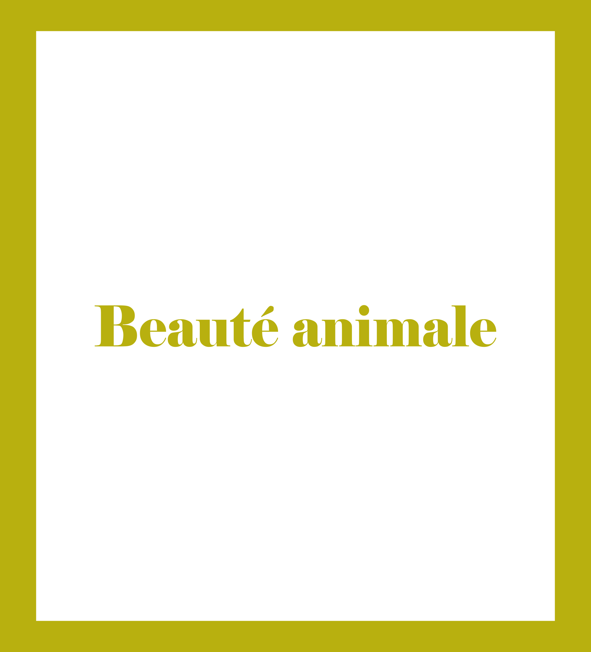 Caratula de Beauté animale (Belleza animal) 