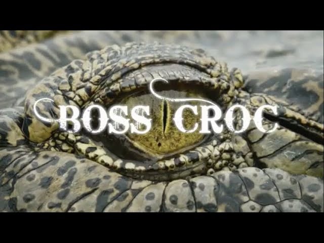 Caratula de Boss Croc (Brutus: el rey de los cocodrilos) 