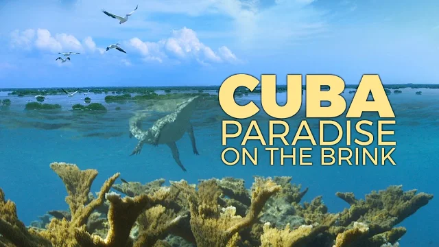 Caratula de Cuba, a Paradise On The Brink (Cuba, paraíso en peligro) 
