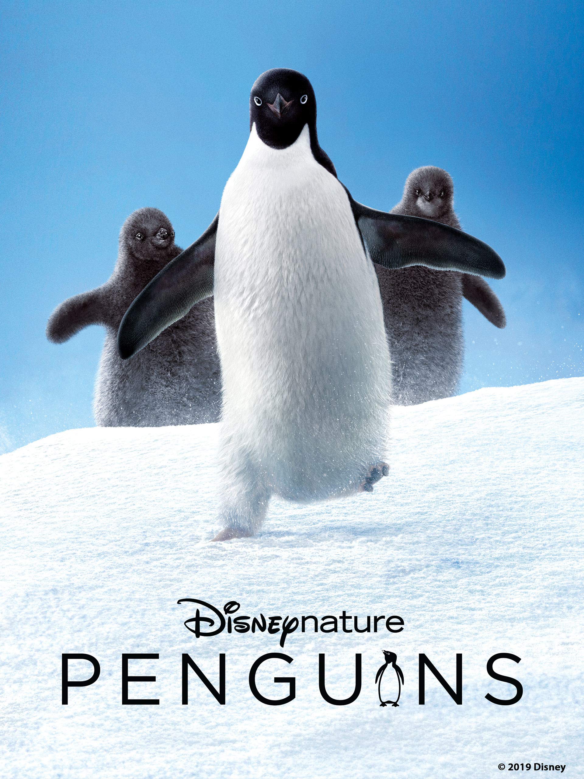 Caratula de Disneynature Penguins (Disneynature Penguins) 