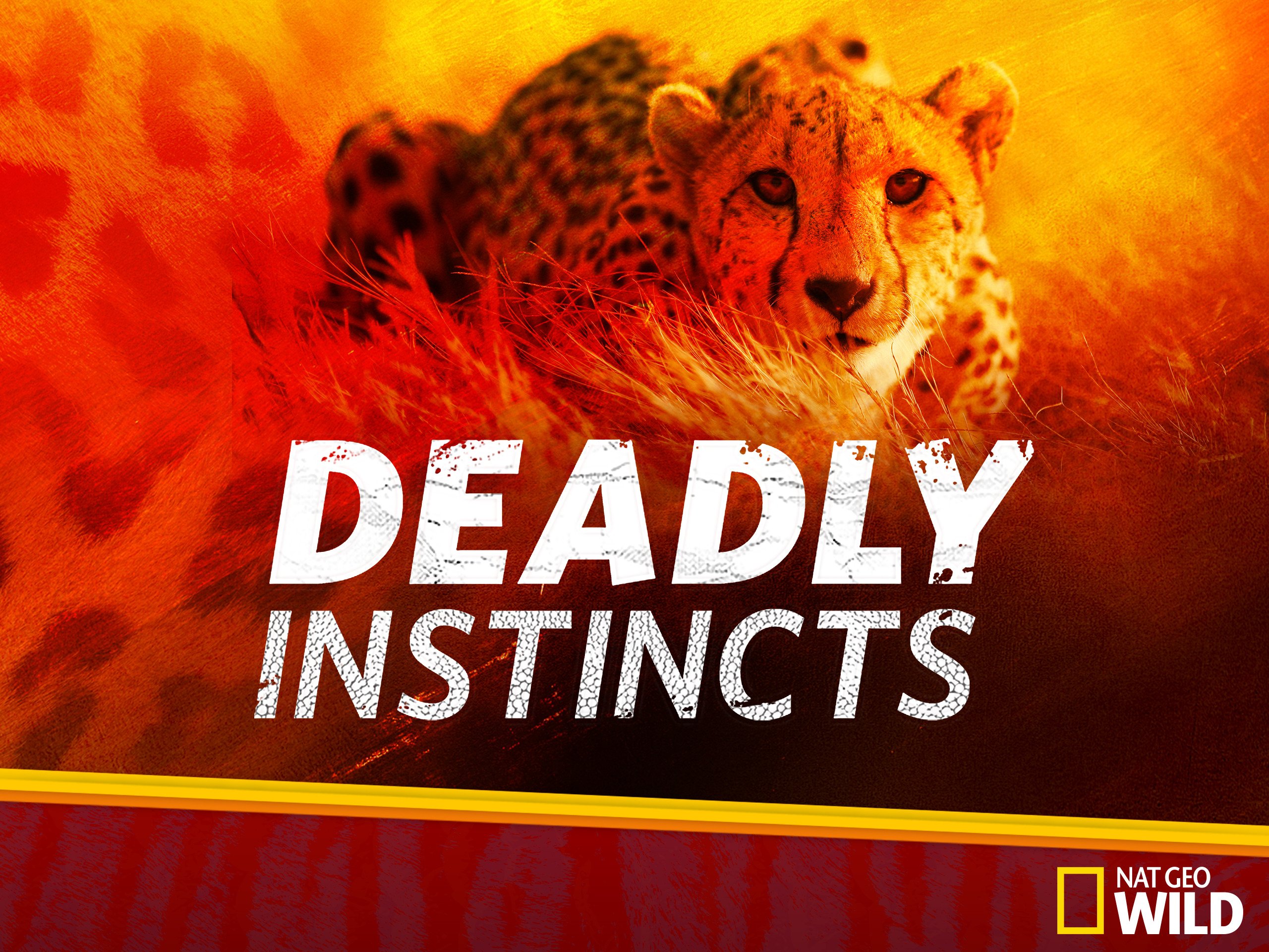 Caratula de Deadly Instincts (Instintos letales) 