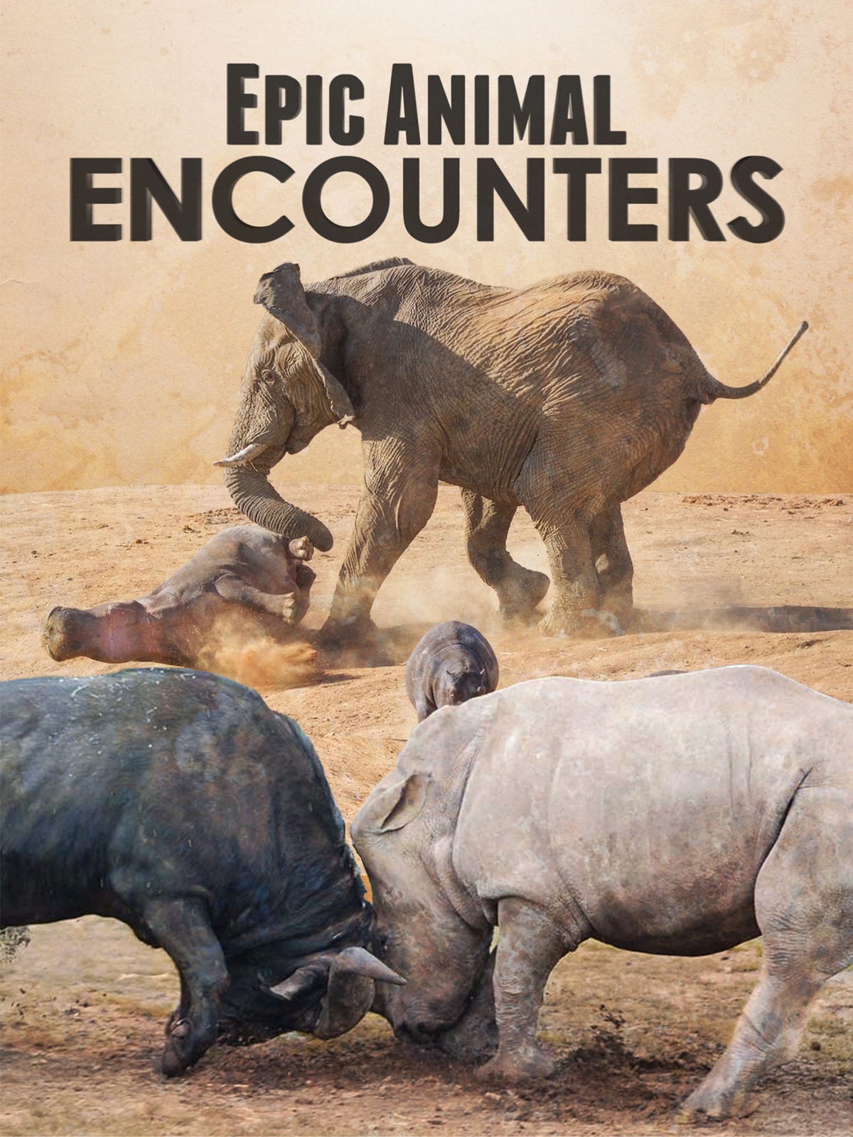 Caratula de Epic Animal Encounters (Animales: encuentros épicos) 