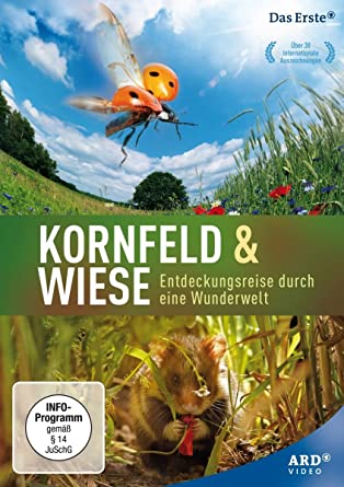 Caratula de Das Kornfeld: Dschungel für einen Sommer (El campo de cereales: una jungla para el verano) 